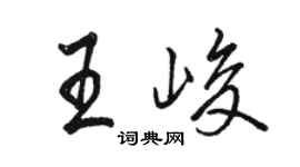 駱恆光王峻行書個性簽名怎么寫