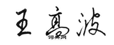 駱恆光王高波行書個性簽名怎么寫