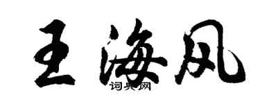 胡問遂王海風行書個性簽名怎么寫