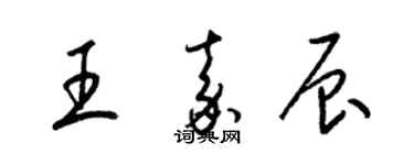 梁錦英王嘉辰草書個性簽名怎么寫