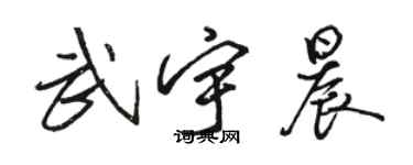 駱恆光武宇晨行書個性簽名怎么寫