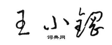 駱恆光王小鋼草書個性簽名怎么寫