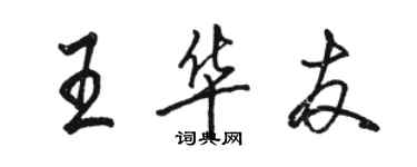 駱恆光王華友行書個性簽名怎么寫