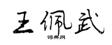 曾慶福王佩武行書個性簽名怎么寫