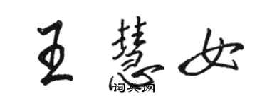 駱恆光王慧女行書個性簽名怎么寫