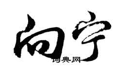 胡問遂向寧行書個性簽名怎么寫