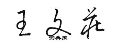 駱恆光王文莊草書個性簽名怎么寫