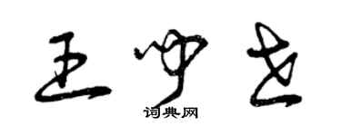 曾慶福王聞世草書個性簽名怎么寫