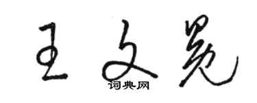 駱恆光王文冕草書個性簽名怎么寫