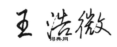 駱恆光王浩微行書個性簽名怎么寫