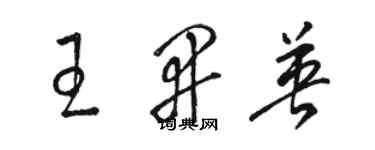 駱恆光王開英草書個性簽名怎么寫