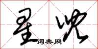朱錫榮星兒草書怎么寫