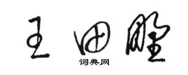 駱恆光王田野草書個性簽名怎么寫