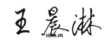 駱恆光王晨淋行書個性簽名怎么寫