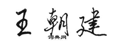 駱恆光王朝建行書個性簽名怎么寫