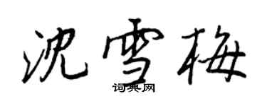 王正良沈雪梅行書個性簽名怎么寫