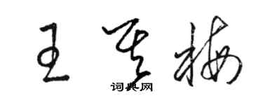 駱恆光王其梅草書個性簽名怎么寫