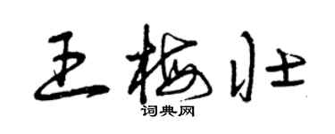 曾慶福王梅壯草書個性簽名怎么寫