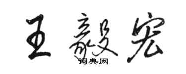 駱恆光王毅宏行書個性簽名怎么寫