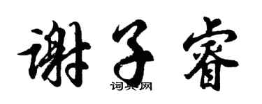 胡問遂謝子睿行書個性簽名怎么寫