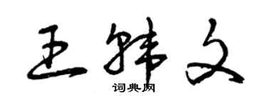 曾慶福王韓文草書個性簽名怎么寫