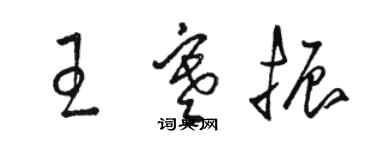 駱恆光王寒振草書個性簽名怎么寫