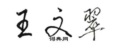 駱恆光王文翠行書個性簽名怎么寫