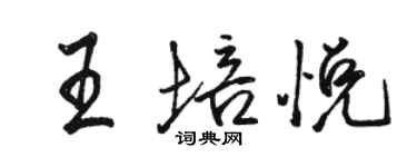 駱恆光王培悅行書個性簽名怎么寫