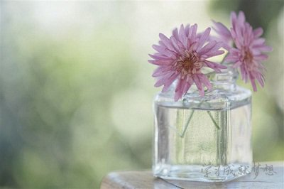 怎么用擁有寫排比句