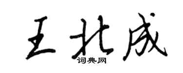 王正良王北成行書個性簽名怎么寫