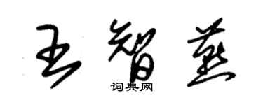 朱錫榮王智燕草書個性簽名怎么寫