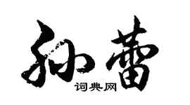 胡問遂孫蕾行書個性簽名怎么寫