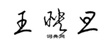 梁錦英王映旦草書個性簽名怎么寫