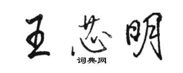 駱恆光王芯明行書個性簽名怎么寫