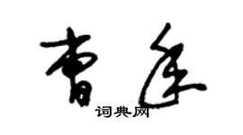 朱錫榮曹年草書個性簽名怎么寫