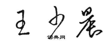 駱恆光王少晨草書個性簽名怎么寫