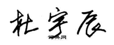 朱錫榮杜宇辰草書個性簽名怎么寫