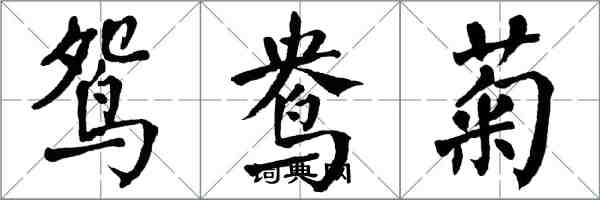 翁闓運鴛鴦菊楷書怎么寫