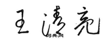 駱恆光王清亮草書個性簽名怎么寫