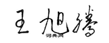 駱恆光王旭騰草書個性簽名怎么寫