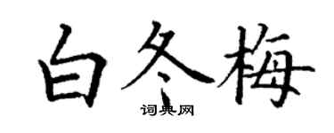 丁謙白冬梅楷書個性簽名怎么寫