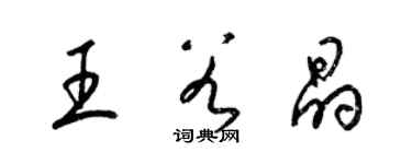 梁錦英王谷晶草書個性簽名怎么寫