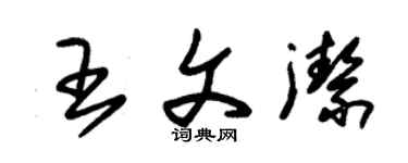 朱錫榮王文潔草書個性簽名怎么寫