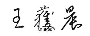 駱恆光王獲晨草書個性簽名怎么寫