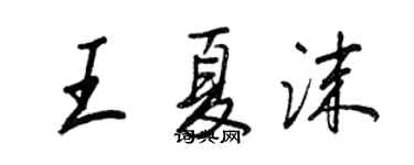 王正良王夏沫行書個性簽名怎么寫