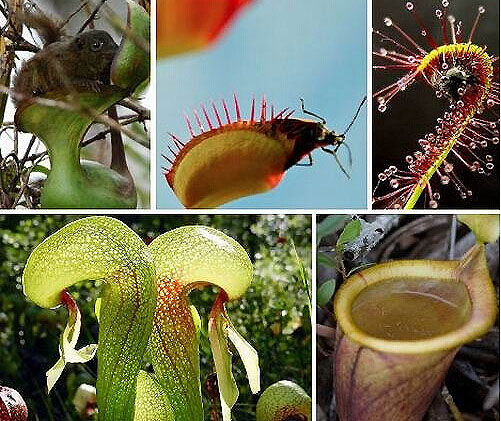 林徽因與近代史人徐志摩為什麼沒有在一起?