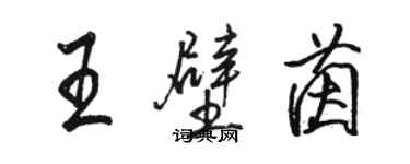 駱恆光王壁茵行書個性簽名怎么寫