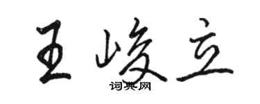 駱恆光王峻立行書個性簽名怎么寫