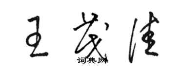 駱恆光王茂佳草書個性簽名怎么寫