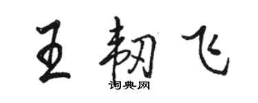 駱恆光王韌飛行書個性簽名怎么寫